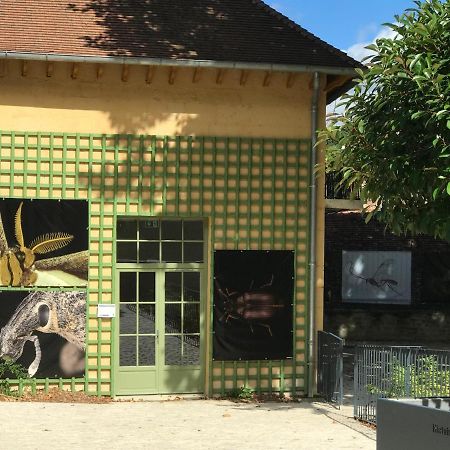 Charmante Maison Bourguignonne Avec Grand Jardin Et Parking Montbard Buitenkant foto