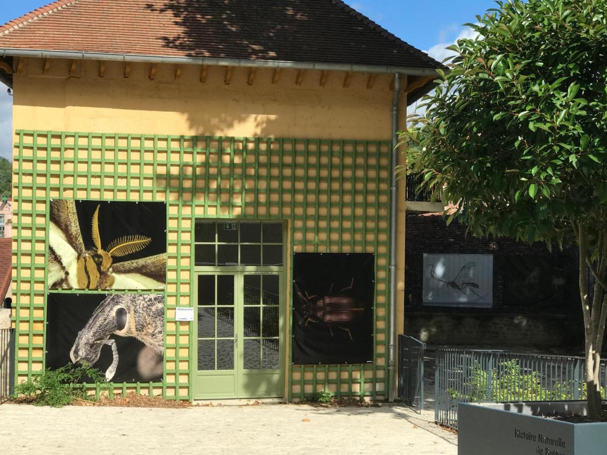 Charmante Maison Bourguignonne Avec Grand Jardin Et Parking Montbard Buitenkant foto